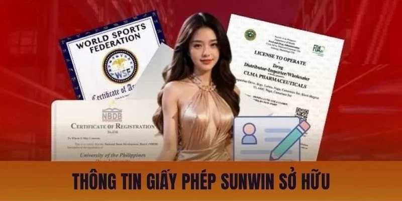 Thông tin giấy phép Sunwin sở hữu